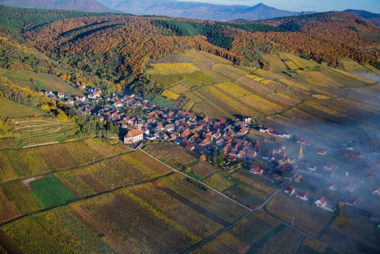 Maison De Ville Selestat Centre Экстерьер фото